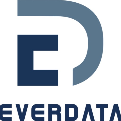 Logo Everdata